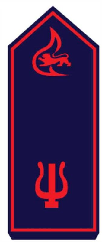 Schulterstück Musiker